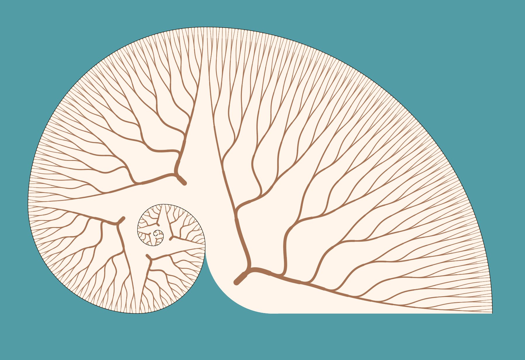 Fibonacci Nautilus (artwork)